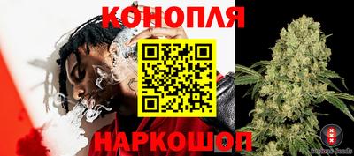 гидра Вязьма