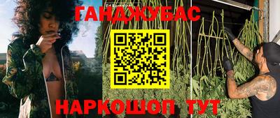 гидра Вязьма