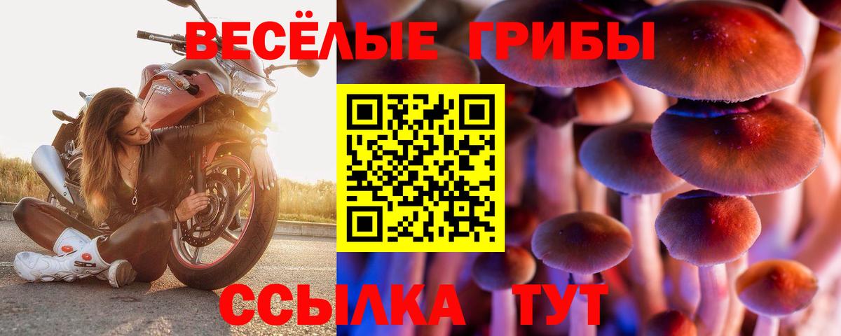 Кирово-Чепецк  Псилоцибиновые грибы мицелий  Вход с VPN 